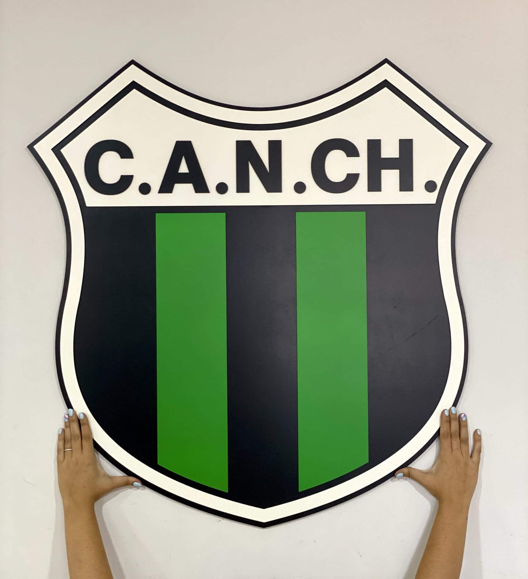 Cuadro Nueva Chicago